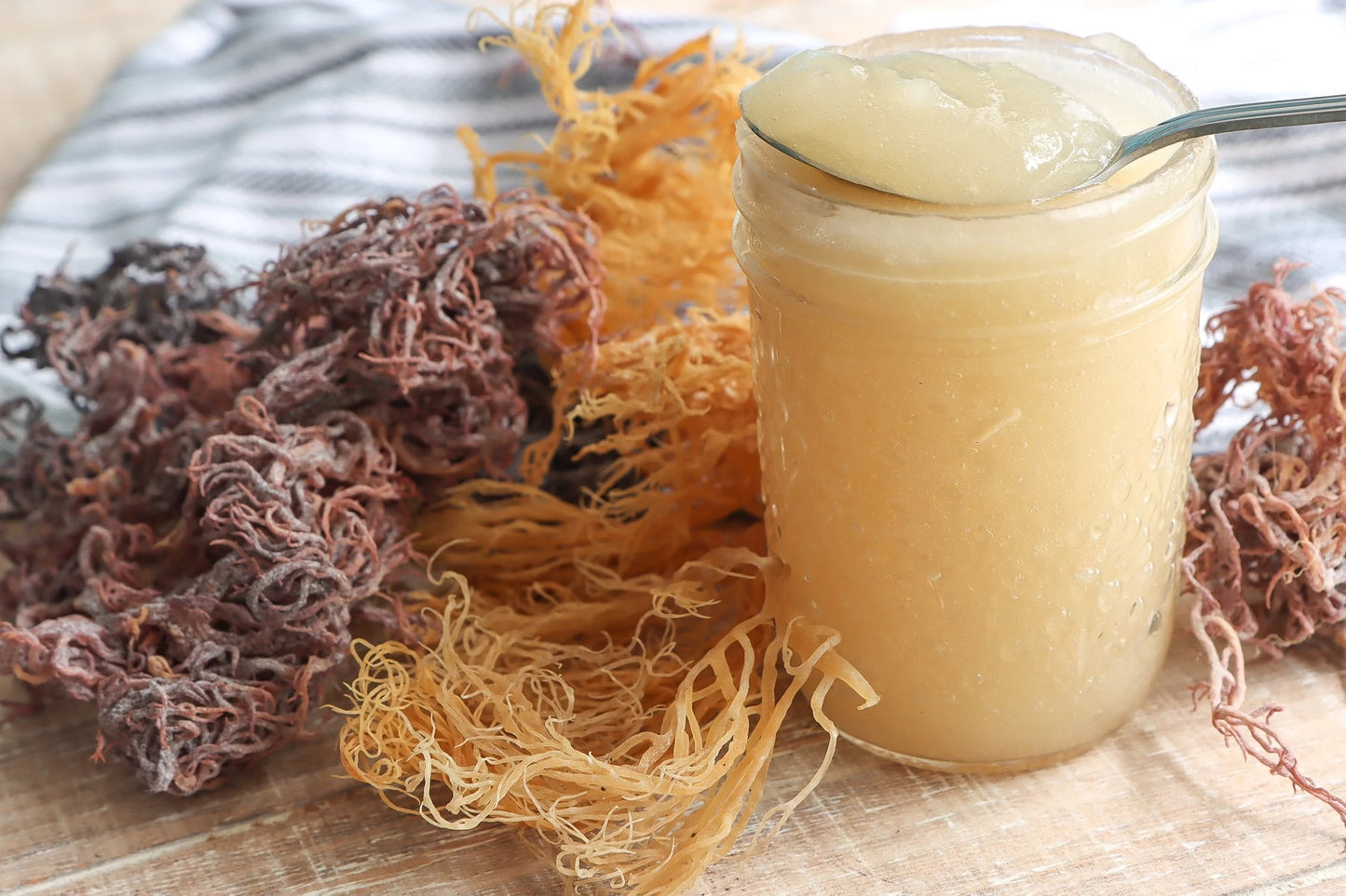 Sea Moss Gel 16 oz