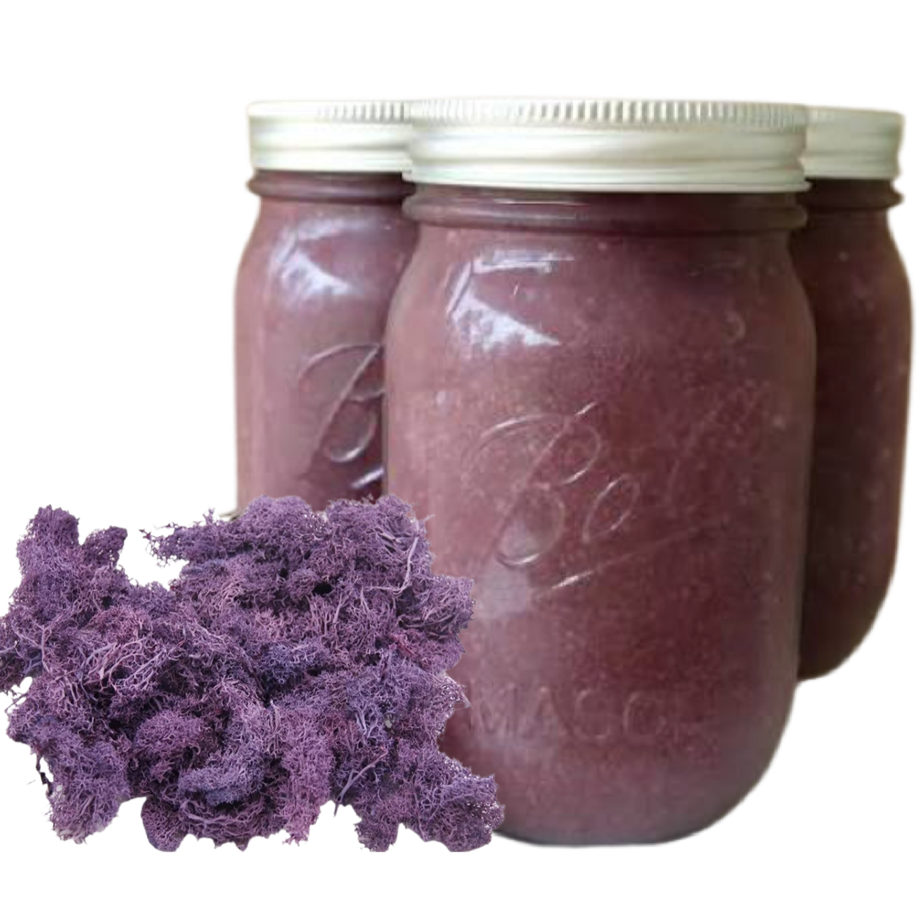 Sea Moss Gel 16 oz
